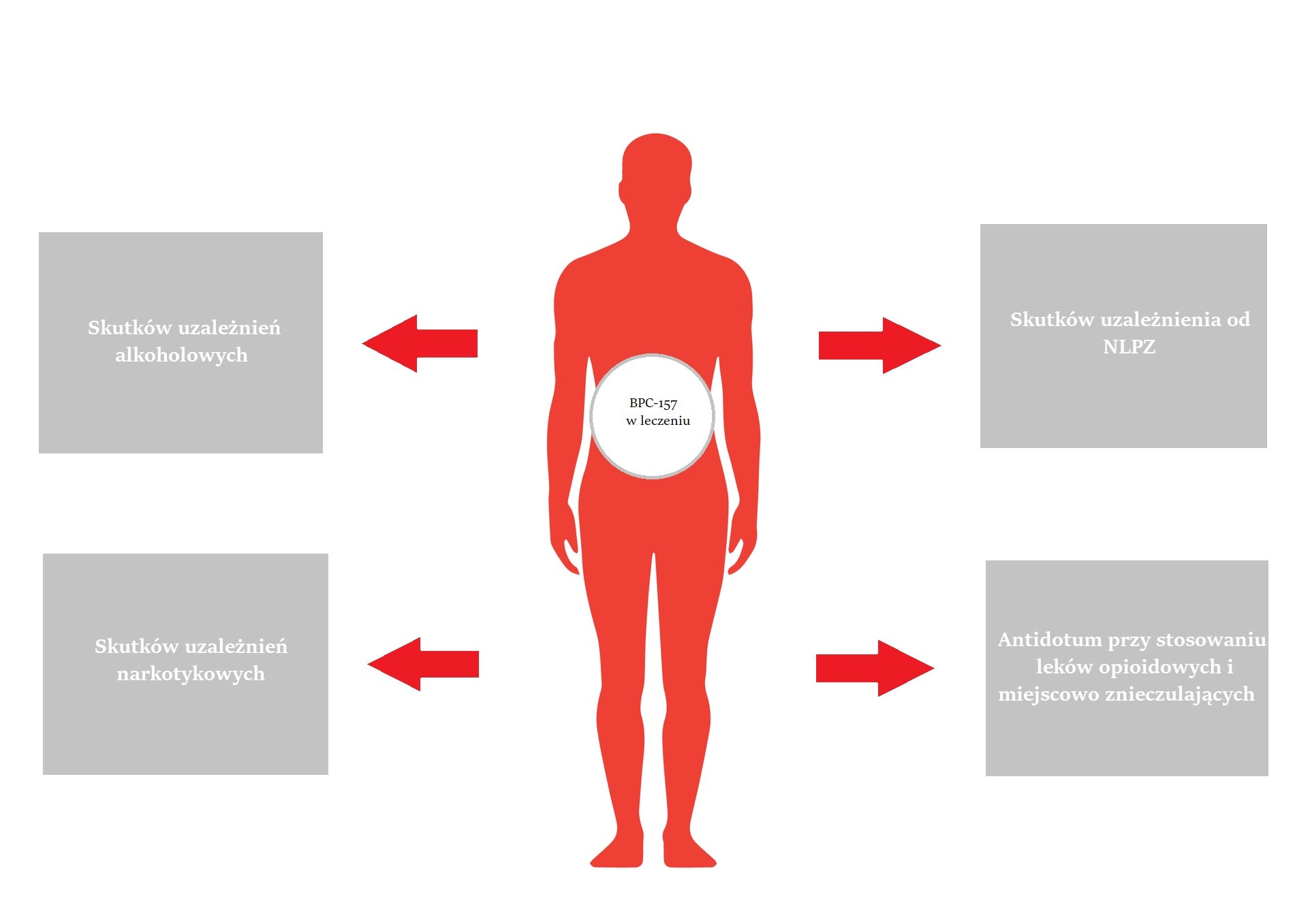 Therapeutic effect of the BPC-157 peptide in the treatment of addiction effects.