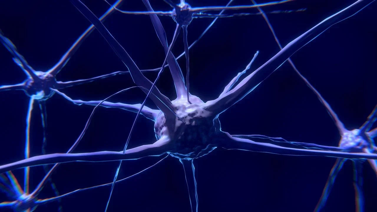 Neuroprotective and antidepressant effects of BPC-157. The effect of BPC-157 on brain function.